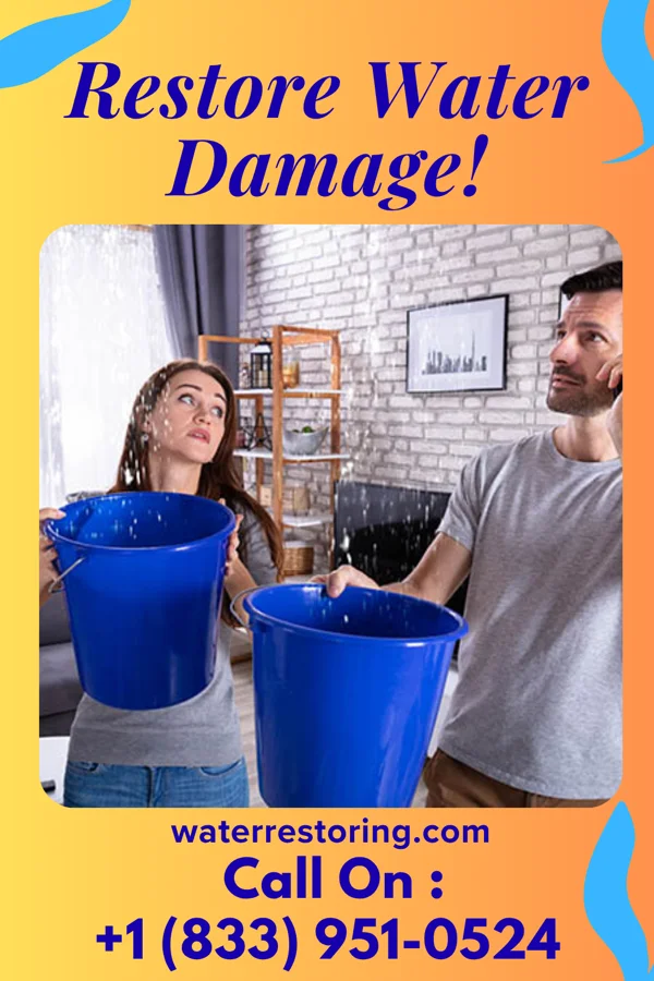 water restoration Patriot Water Cleanup Authority Bonham