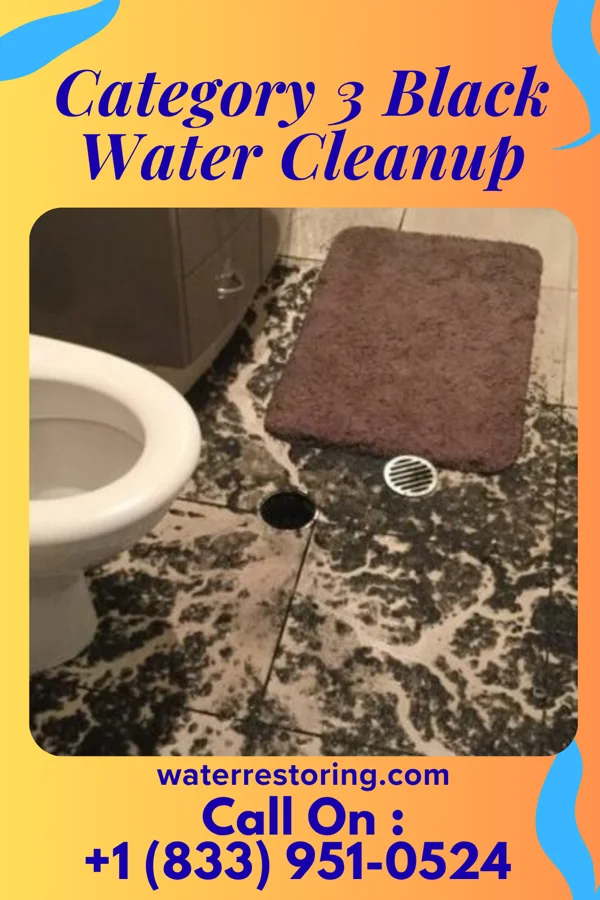 Category 3 Black Water Cleanup in Bonham, TX