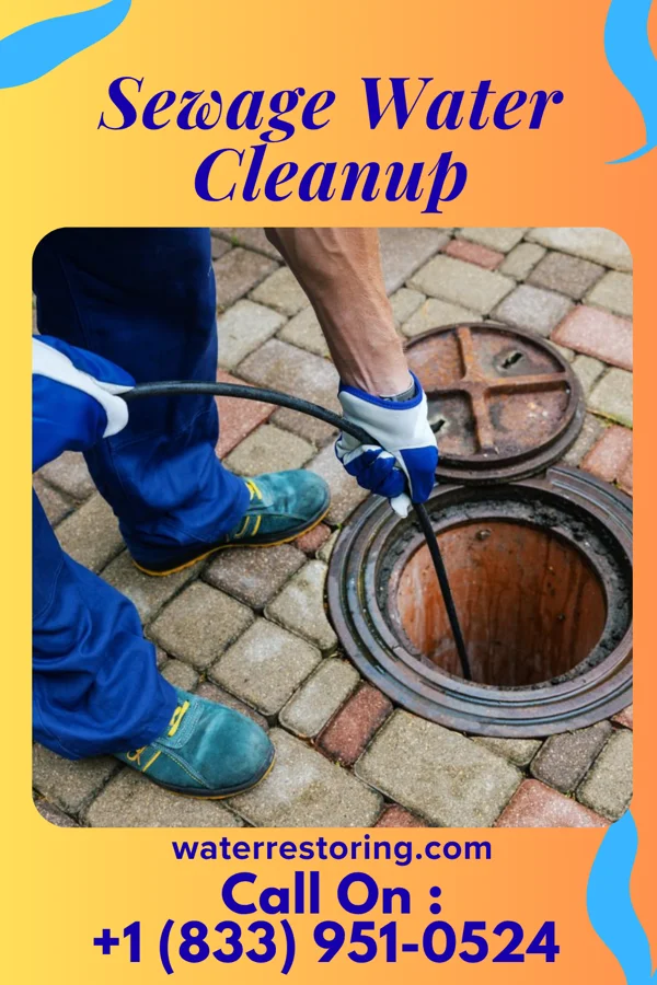 Sewage Water Cleanup in Bonham, TX